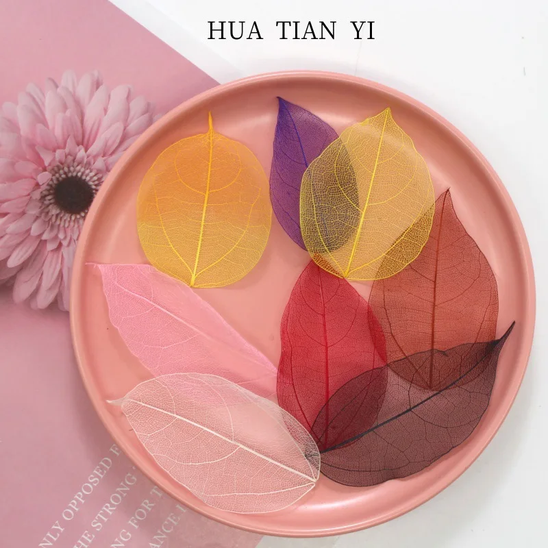 White Diamond Vein Magnolia Leaves, Natural Preserved Leaves, Handmade Dried Flowers, Colorful Mesh Bleached Leaf Specimens