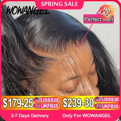 WOWANGEL HD Lace Frontal Wigs 13x4 Lace Frontal Human Hair Wig Melt Skins 250% Full Frontal Wigs Silky Straight Wigs For Woman
