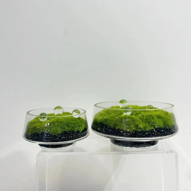 Clear Footed Large Caliber Glass Container Moss Terrarium Pot Indoor Commercial Space Table Arrangement