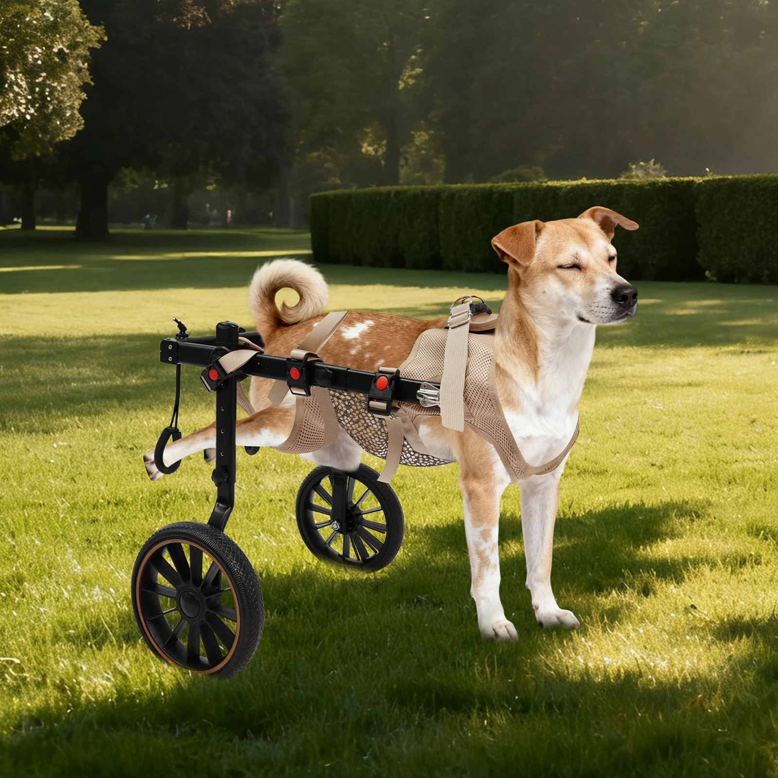 Carrozzine a 2 ruote per cani, ausilio per la deambulazione di cani di taglia media/grande, assistente per la riabilitazione di animali domestici XXL per cani anziani con problemi alle zampe