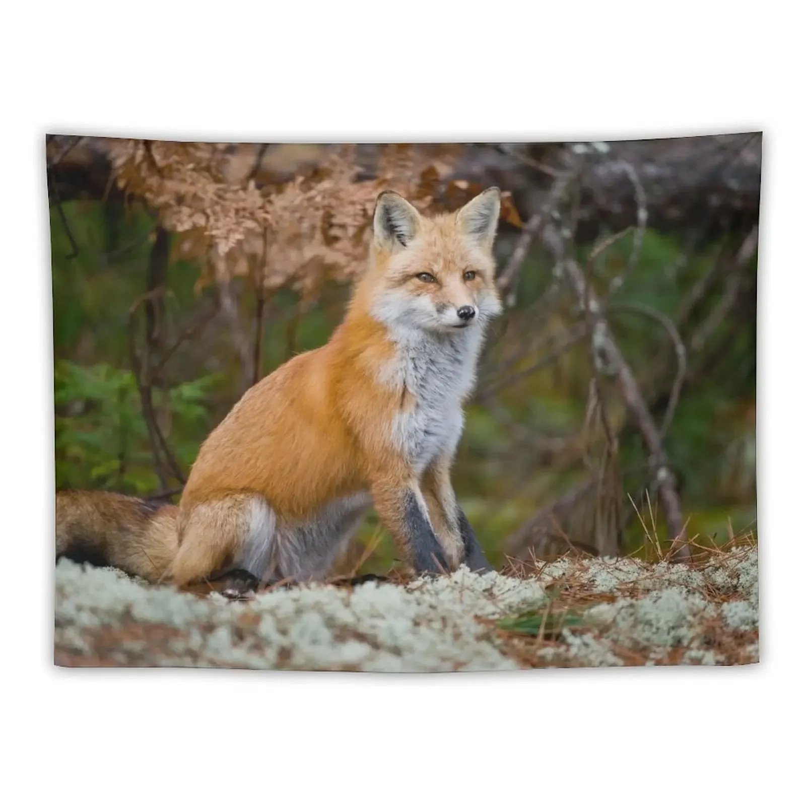 

Red Fox Tapestry House Decoration Decorative Wall Mural Anime Decor Room Decorations Aesthetics Tapestry