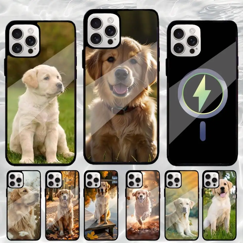 

Beauty Labrador Golden Retriever Dog Phone Case For iPhone17,16,15,14,13,12,11 Plus,Pro Max Magnetic Magsafe Wireless Charging
