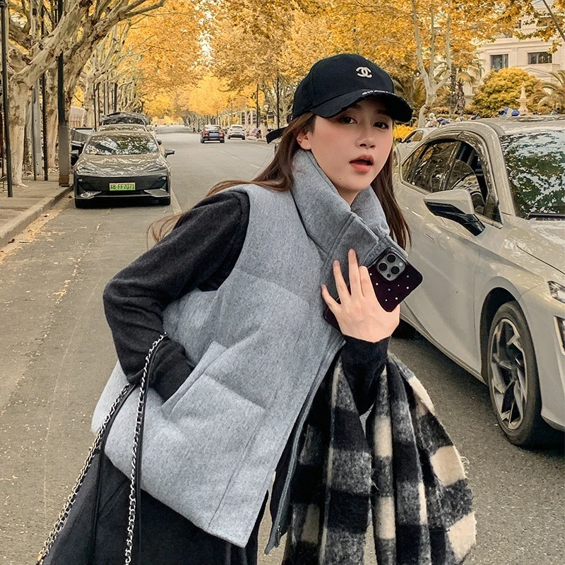 Chaleco de algodón corto para mujer, versión coreana 2025, chaleco de piel de cordero sin mangas con cuello levantado, chaqueta negra y gris, Top Tide