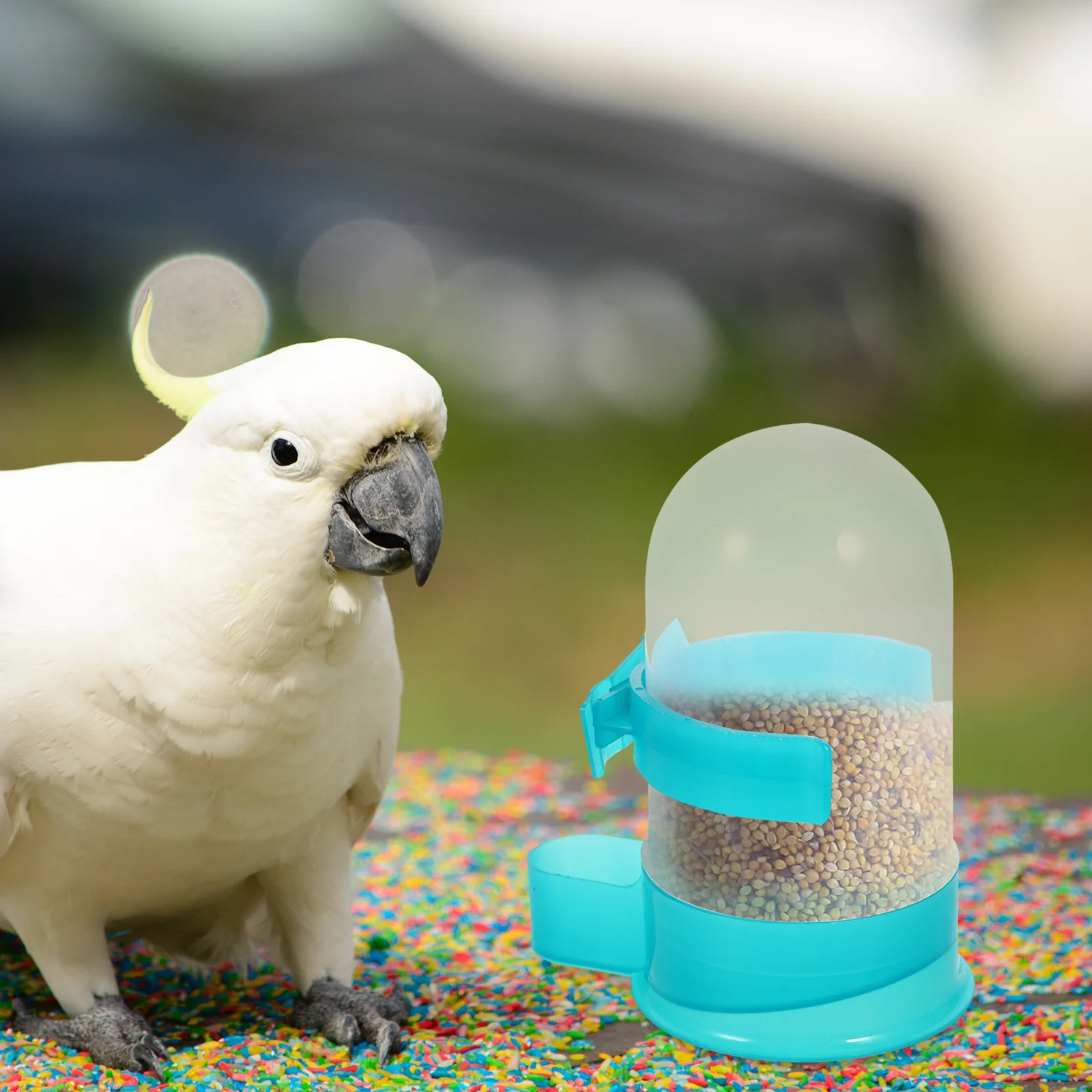 

2Pcs Bird Water Dispenser Automatic Pet Drinking Bottle Leakproof Lightweight for Pigeon Parrot Cage Outdoor Travel Use Green