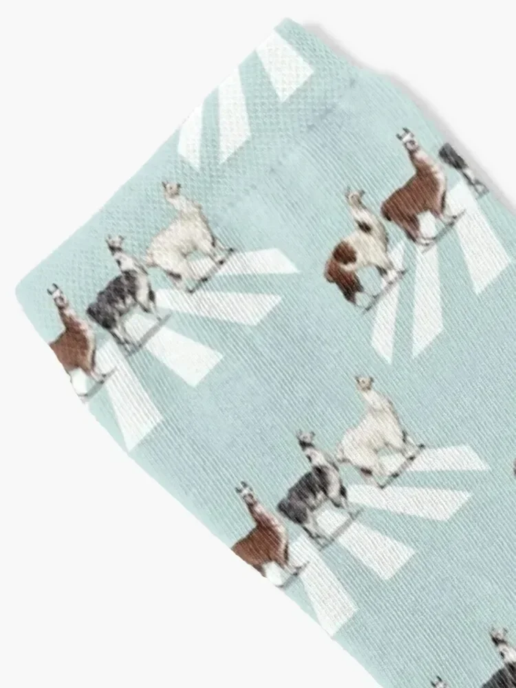 Llama The Abbey Road #1 Socks shoes christmas stocking Men Socks Women's