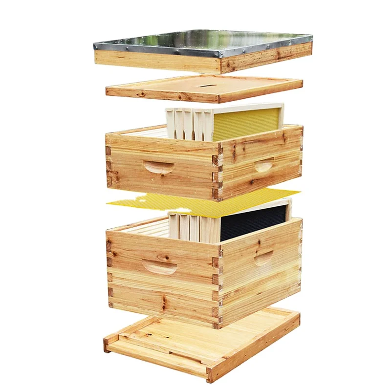 

Wholesale Bee Hives Beekeeping Tools Apicultura Wooden Bee Box Langstroth Beehive Kit 10 Frame Pine for Beekeepers 2