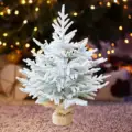 Snow Flocked