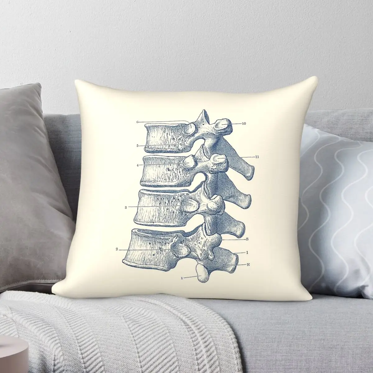 Spinal Cord Vertebrae View Pillowcase Polyester Linen Velvet Pattern Zip Decorative Pillow Case Home Cushion Case