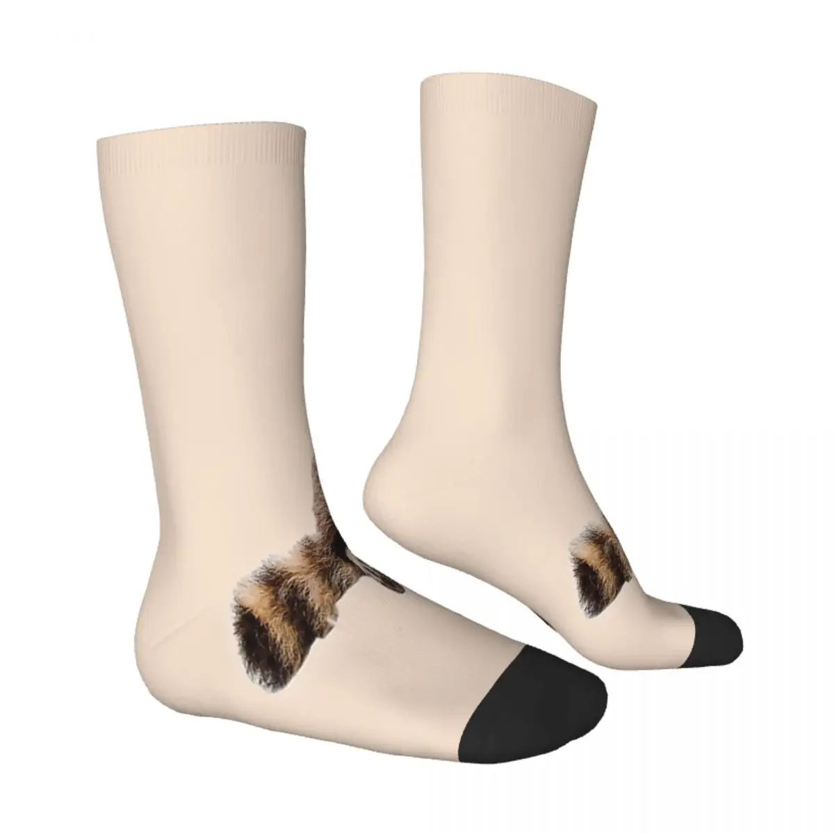 A Little Raccoon Sits Funny And Looks At You Socks Male Mens Women Winter Stockings Harajuku