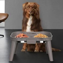 Gamelles surélevées pour chiens, pour grands, moyens et petits chiens, favorise une digestion saine et une alimentation confortable