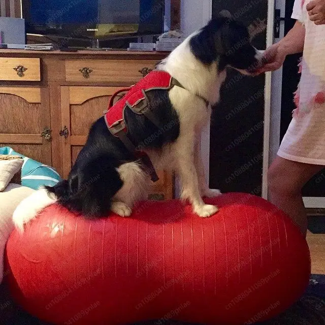 Pet Peanut Ball Capsules, Hindlimb Support for Paralyzed Dogs, Core Muscle Strengthening Device