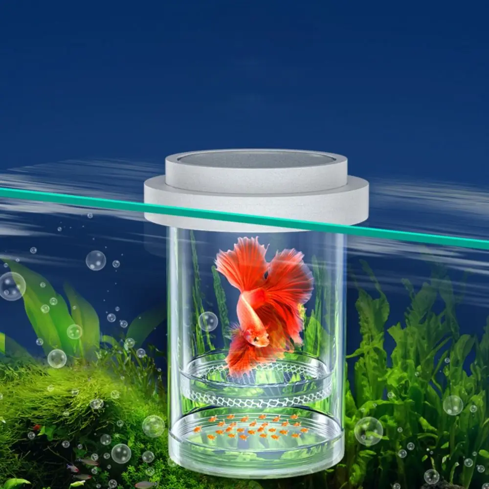 Single Layer Floating Hatching Box Fine/Coarse Mesh White Fish Breeding Isolation Box Fish Tank Hatching Incubator Plastic
