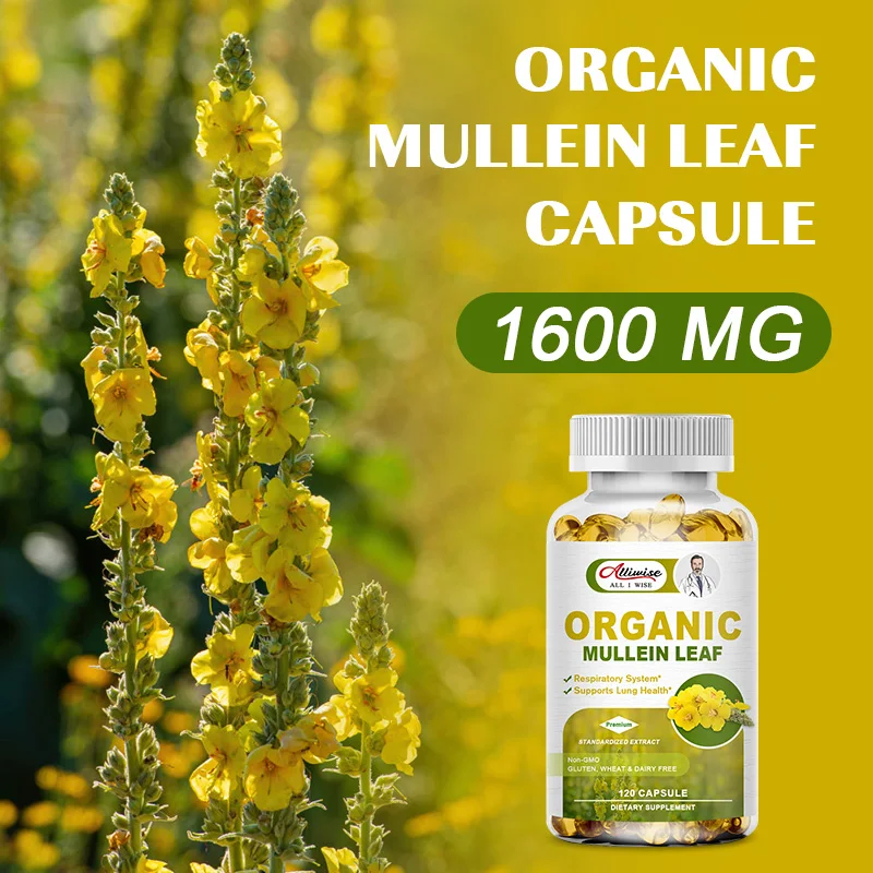 Alliwise Herbal Plant Mullein Capsules Clean the Lungs Protect the Respiratory System Clear Heat Mucous Membranes Lung Cleanse