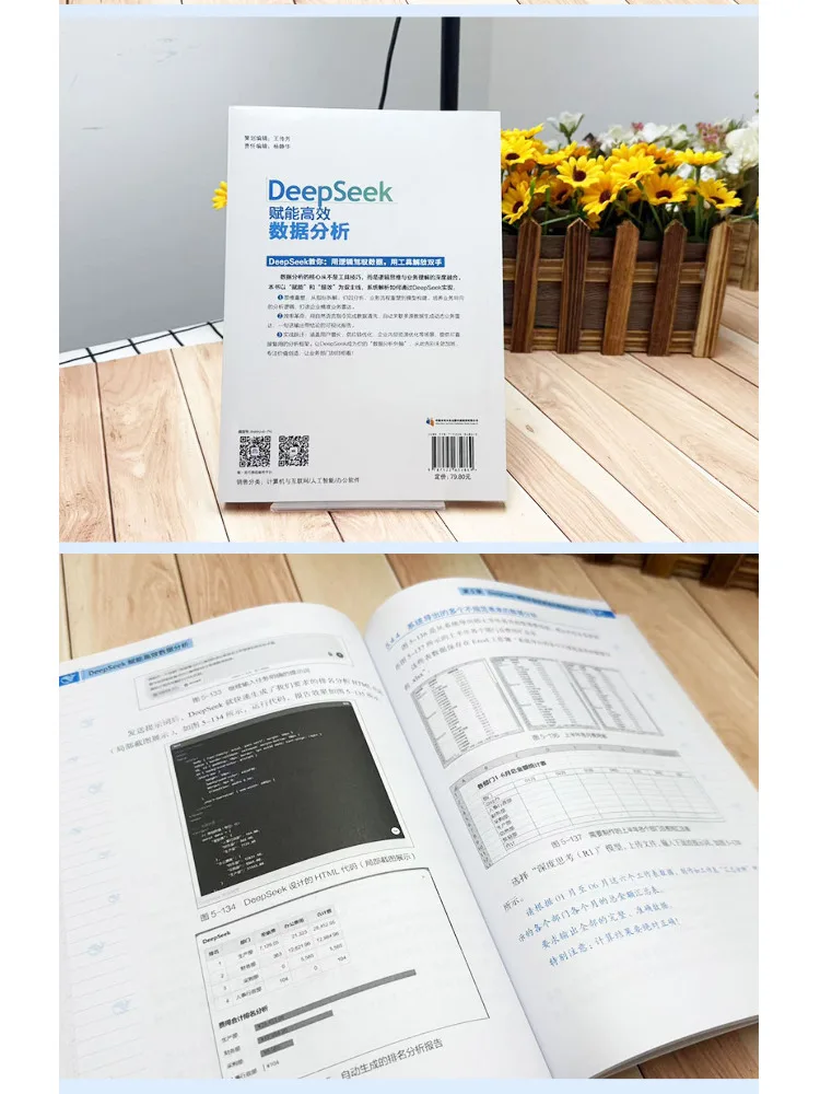 Book-Winshare Deepseek Empowers Efficient Data Analysis