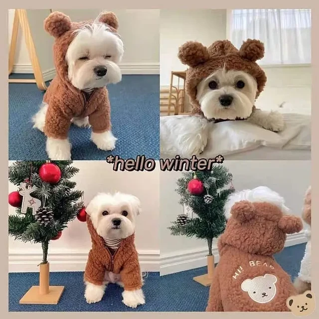 Pets Autumn and Winter Clothes Teddy Bichon Poodle Cat Pomeranian Schnauzer Small Dog Clothes retailer Warm Sweater22091534024