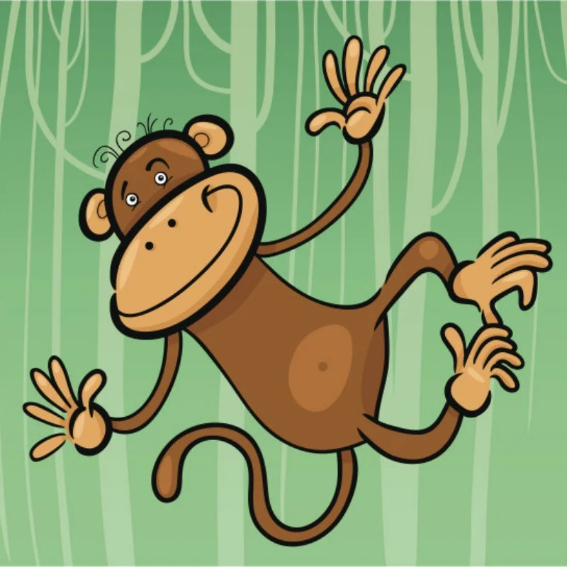 

For HG P407 accessory kit