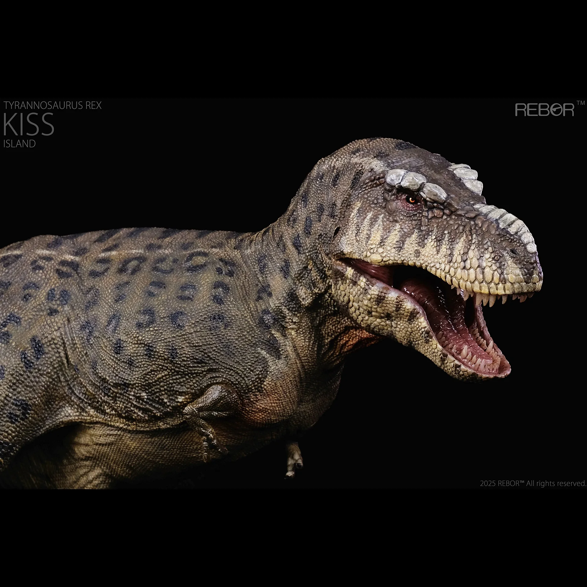 REBOR 1:35 Tyrannosaurus rex “KISS” Island Ver Collection Statue figures 【Pre sale Q1 2025】