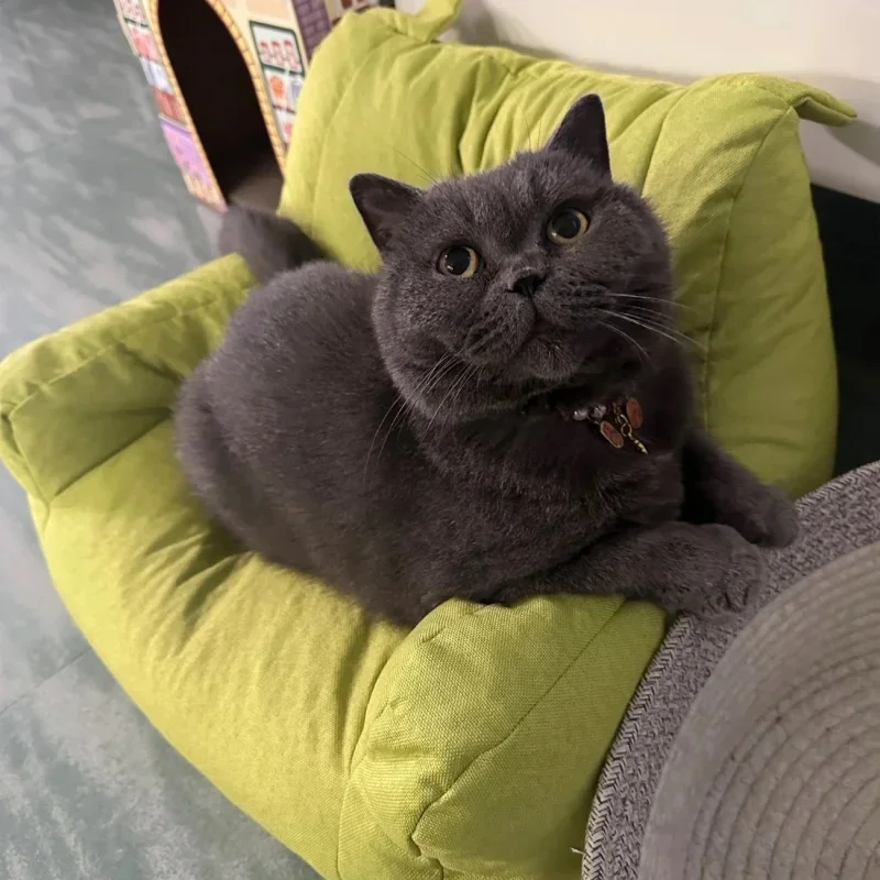 

1Pc Cat Sofa Cat Chair Seat Sofa Sitting Anti-Fall Cute Cartoon Simple Soft Back Cat Back Chair Sofa Cat Bed Cat Nest