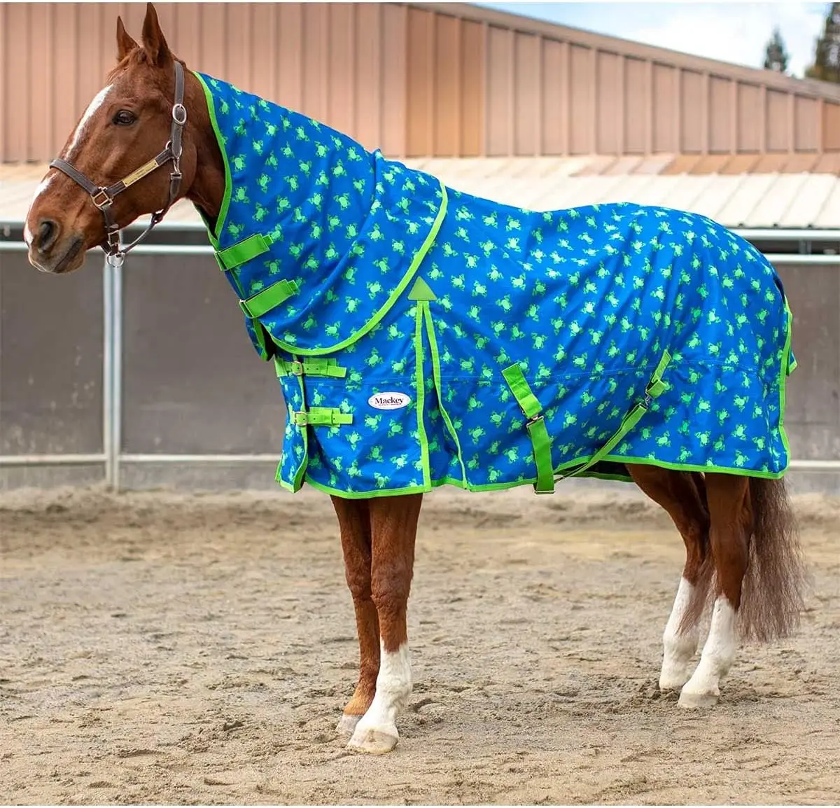 600D Two Tone Waterproof Winter Horse Stable Rug Without Neck Cover