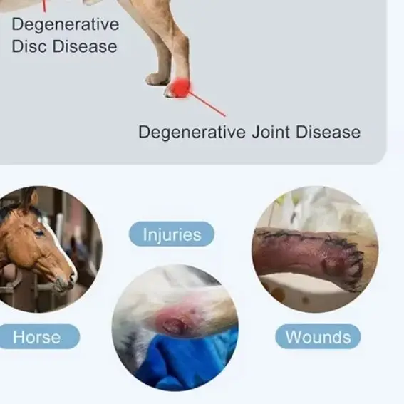 

Veterinary Handheld LLLT Device 650nm/808nm for Dogs Cats, Red Light Therapy for Pet Arthritis Treatment & Pain Relief