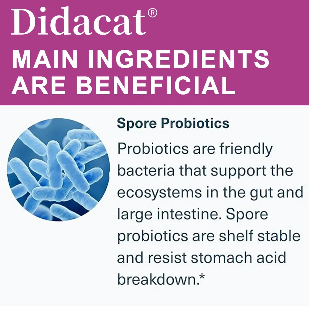 Kompleks probiotyków sporowych - przeciwutleniacz, wspomaga trawienie i odporność, poprawia zdrowie trawiennego, suplement dzienny - unisex
