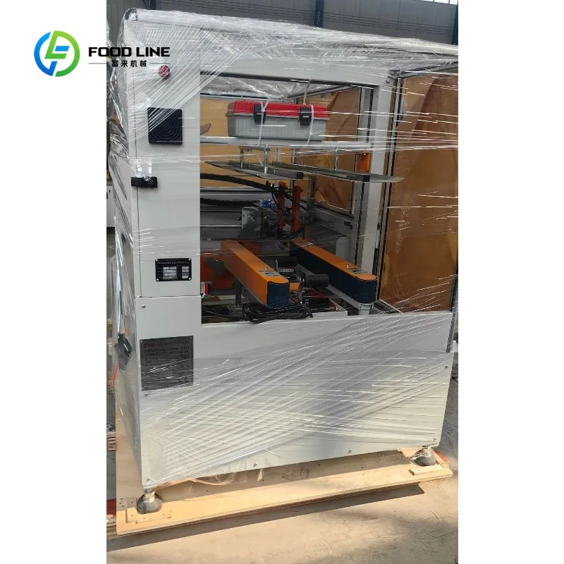 Picture 7: Customized Automatic Carton Case Erector Bottom Sealing Machine for Warehouse Logistics Packaging