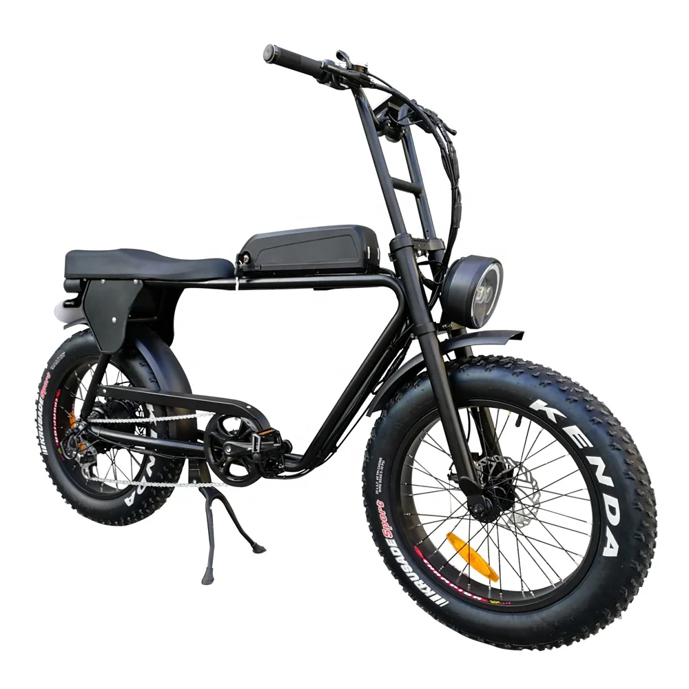 750w 1000w E Bikes Cruiser Fat Tire Fast 20inch Fat Tire Electric Bicycle Pedal Assist Electric Bike Man Use