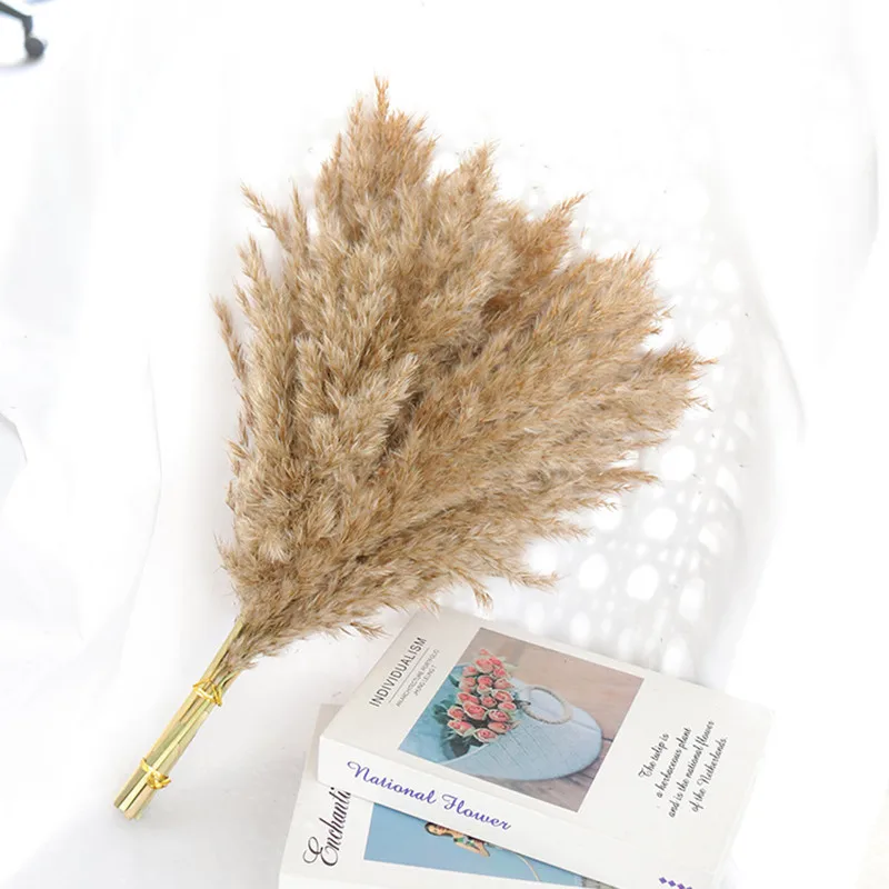 Dried Pampas Grass Premium Dry Bouquet DIY Small Reed Plants with Naturally Pampa for Boho Home Decor Wedding Decoration