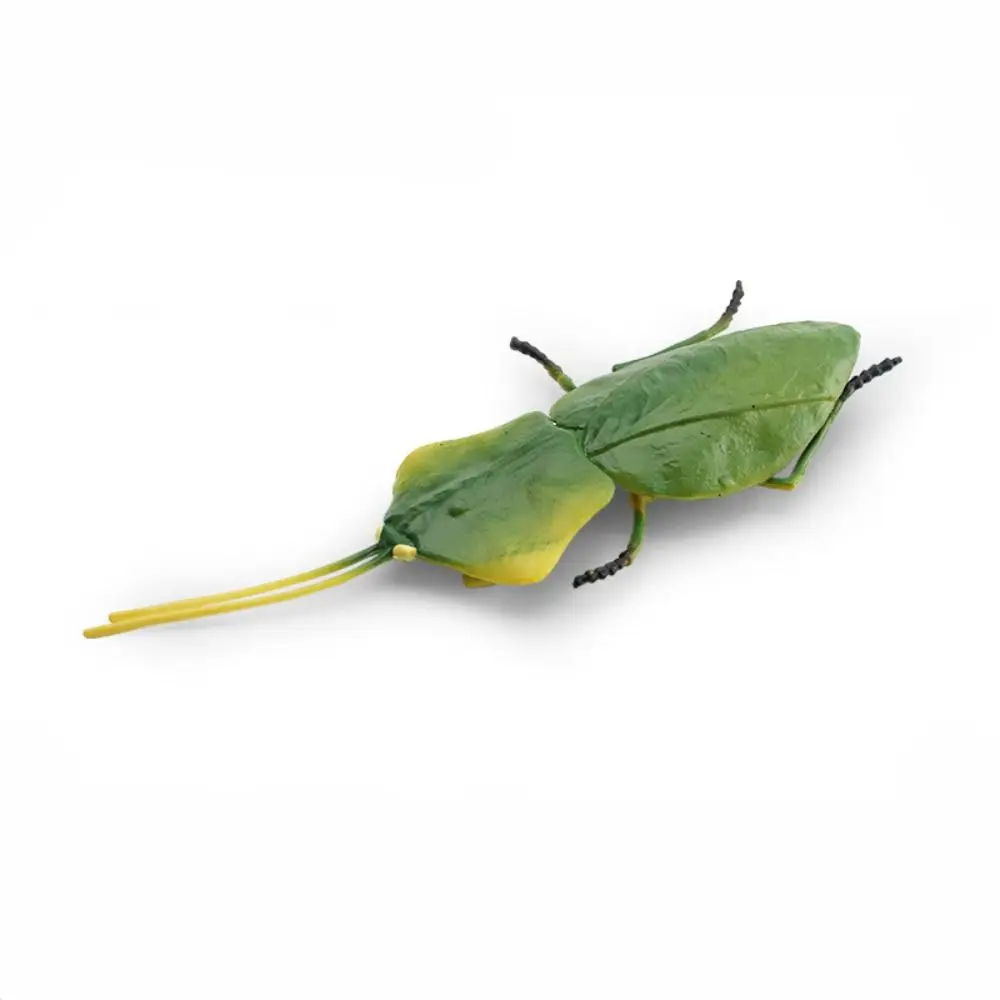 Simulation Insect Animal Model Deroplatys Desiccata Orchid Flower Mantis Action Figures Cognitive Education Teaching Aids Toys