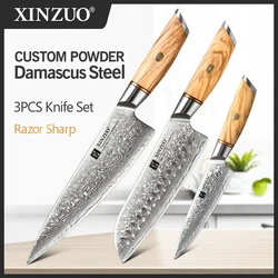 XINZUO 3PCS Knife Set 73 Layers Damascus Steel Razor Sharp Blade 14Cr14MoVNb Powder Steel Olive Wood Handle