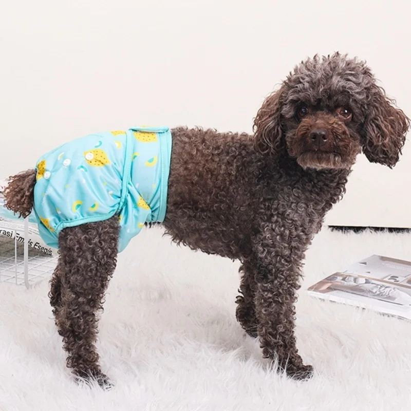 Washable Dog Diapers Pet Physiological Pants Fashion Print Dog Shorts Reusable Puppy Cat Sanitary Panties Pet Shorts Dog Clothes