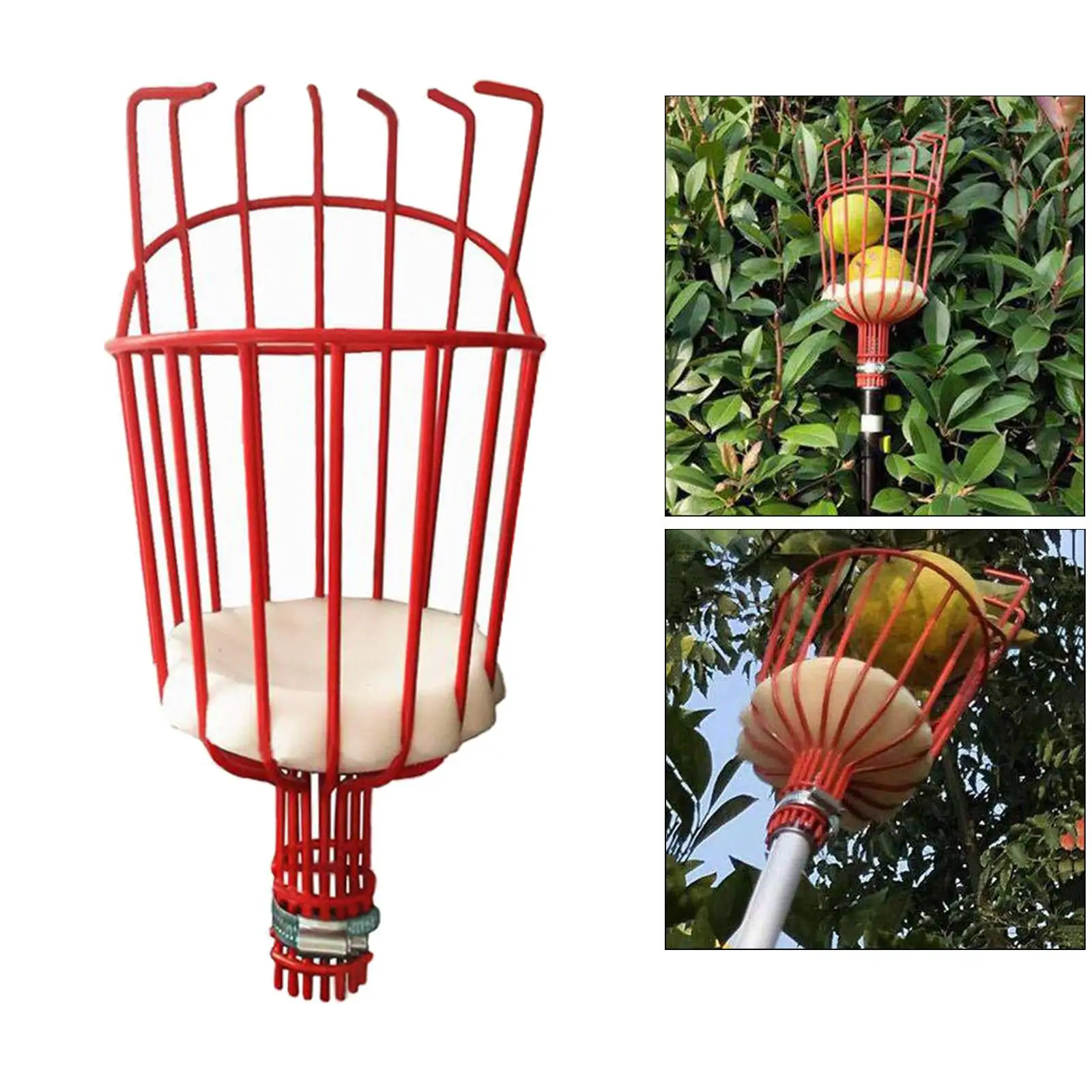 

Fruit Picker Basket Tree Fruits Picking Harvesting Gardening Supplies