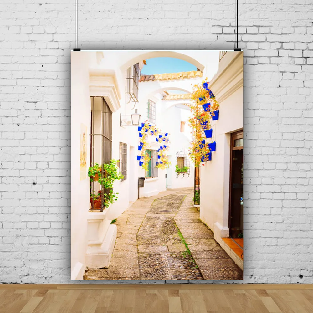 

Santorini Greek Aegean Sea Holiday Party Decoration Bay Town Architecture Flowers Stairs Photography Background XC-08