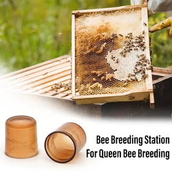 120Pcs Queen Bee Rearing Cell Cups Plastic Brown Color Cells Cages Room Cups Cell Cage Cup Bees Tools Beekeepers Equipment Tools