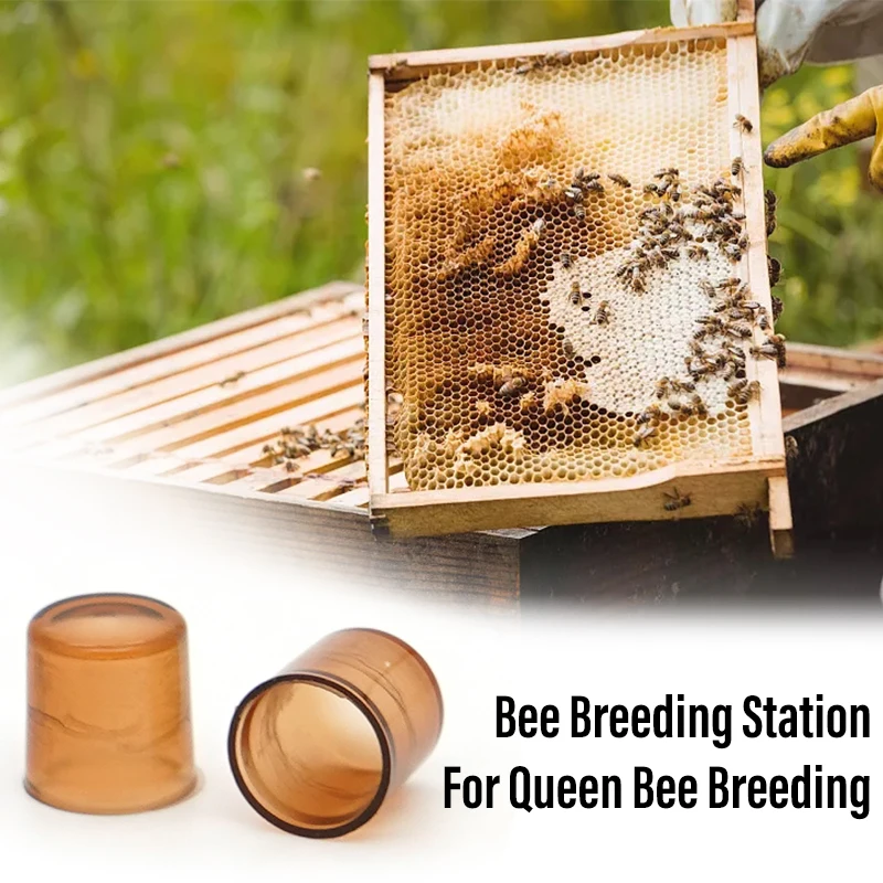 120Pcs Queen Bee Rearing Cell Cups Plastic Brown Color Cells Cages Room Cups Cell Cage Cup Bees Tools Beekeepers Equipment Tools