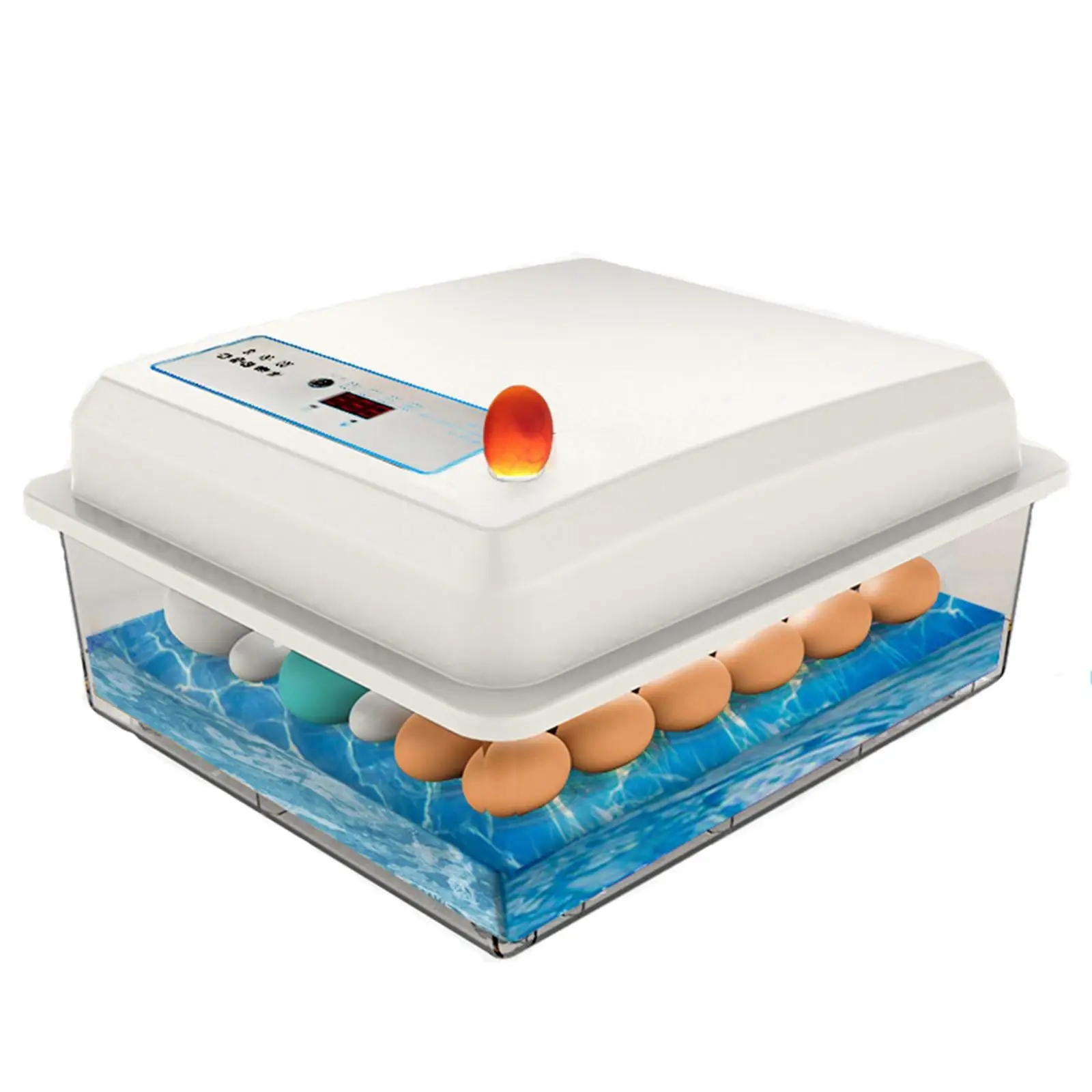 Egg Incubator 20 Egg Digital Poultry Hatching Machine Temperature Control