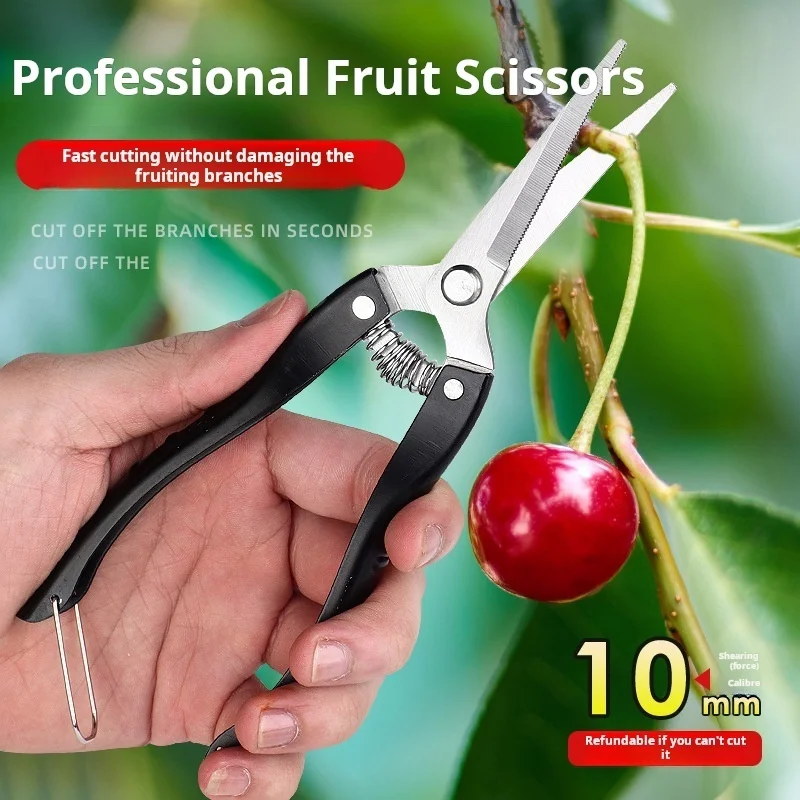 Rose vineyard pruning tools Stainless steel pruning shears