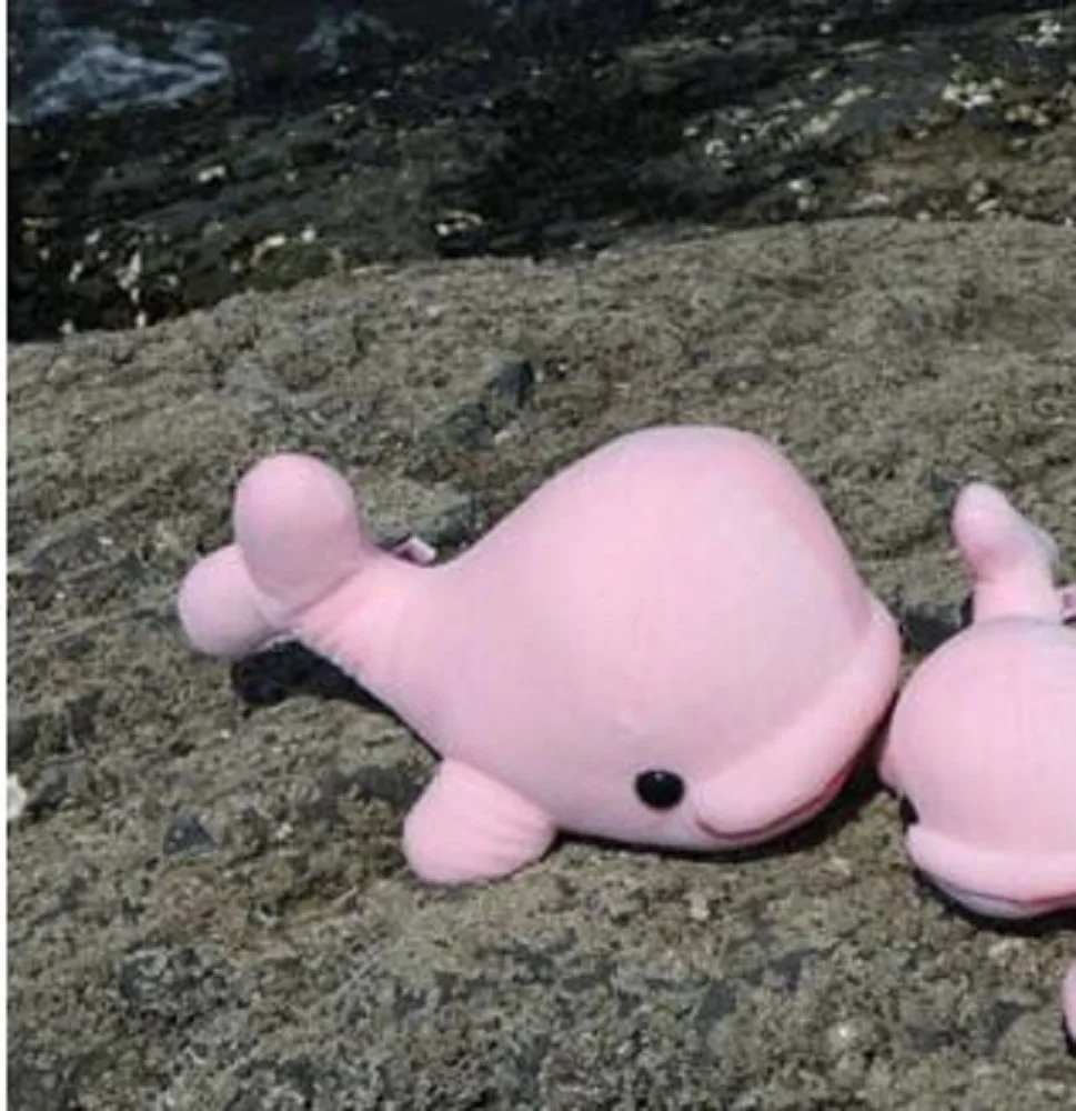 

lovely high quality plush dolphin toy stuffed pink big head whale doll gift about 38cm