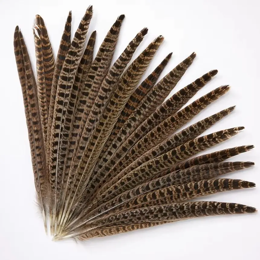 10 Pieces Natural Hen Pheasant Tail Feathers 25-30cm, Soft Fluffy Loose Plumes for DIY Wedding Party Decor Craft Supplies