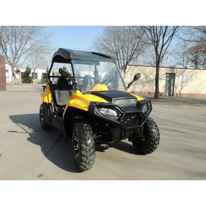 【Best-selling】Factory Price 15KW Electric LQ UTV With 2 Seats For Adults