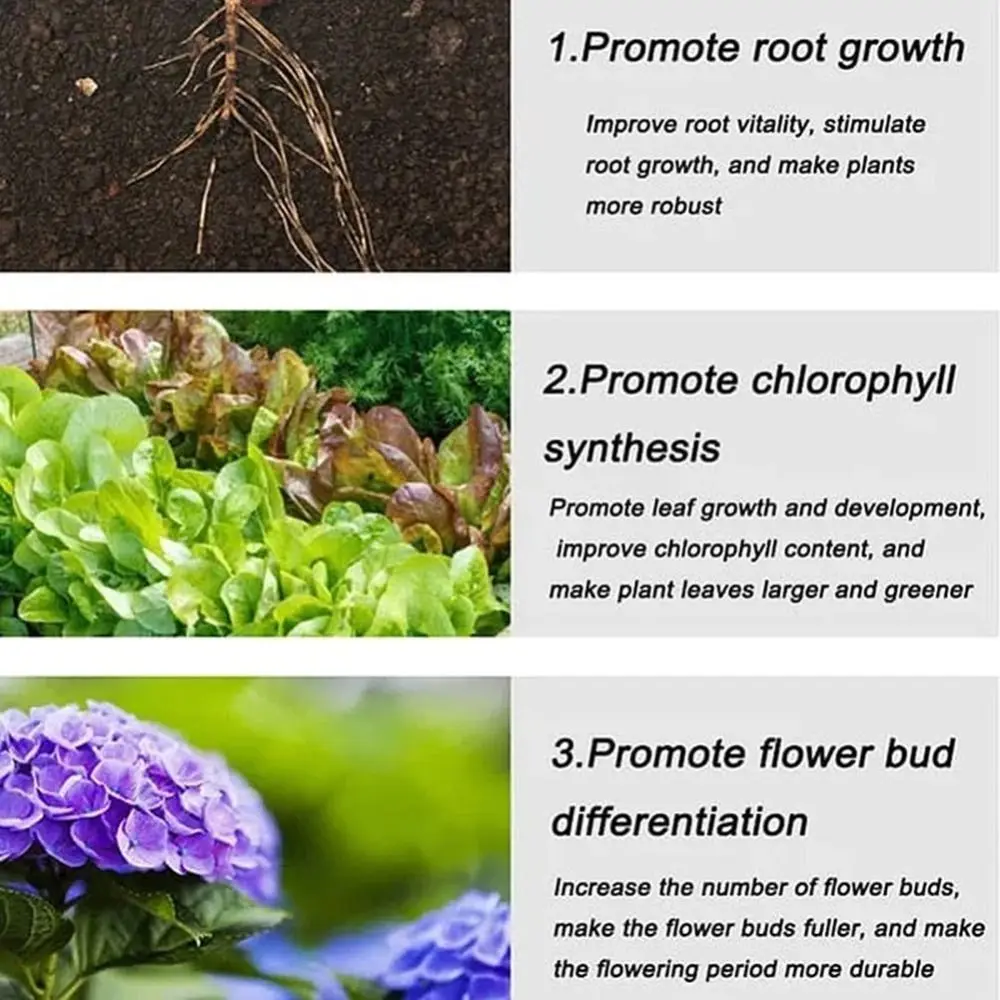 Sustained-release Phosphorus Organic Fertilizer Speed Up Potassium Plant Nutrition Tablets Growth Slow Release Agent Flowers