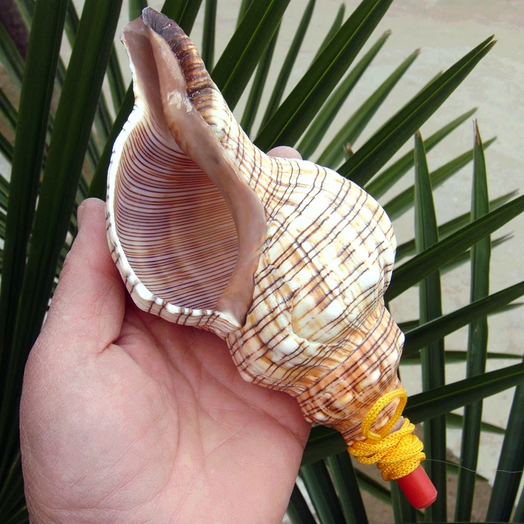 Big Sea Conch Screw Whistle, Conch whistle Shell Crafts, Can Be Melt, Free Small Gifts for Children, Free view 4