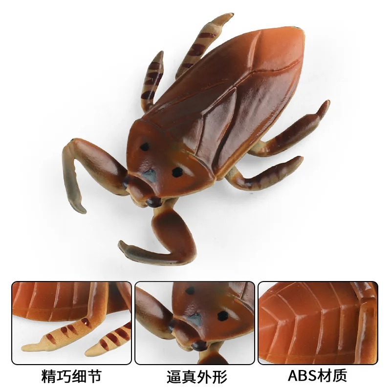 Educazione dei bambini puntelli cognitivi simulazione giocattoli per insetti insetto d'acqua gigante Mantis Longicorn Spider Beetle figure modello animale