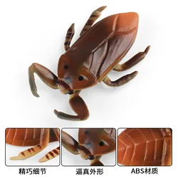 Children Education Cognitive Props Simulation Insect Toys Giant Water Bug Mantis Longicorn Spider Beetle Animal Model Figures