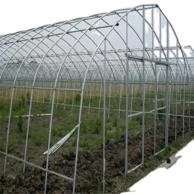 

2025Commercial Farming Plastic Green House Metal Frame Structure Single Span High Tunnel Agriculture Greenhouse