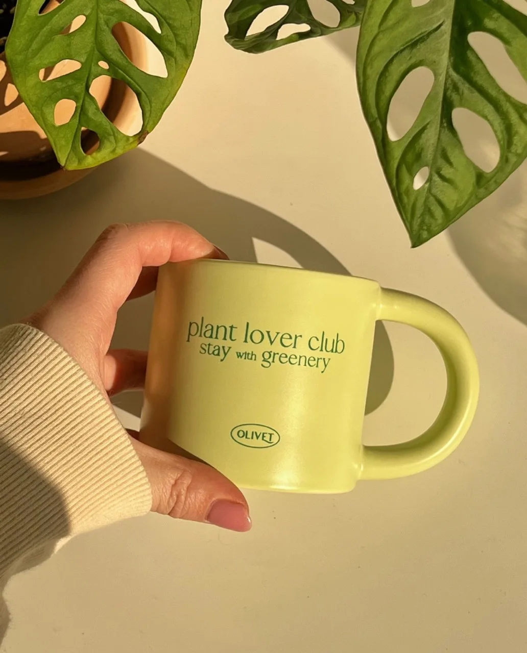 Plant Lover Club Stay with Greenery Matcha Green Ceramic Mug Water Cofee milk beer tea Cup