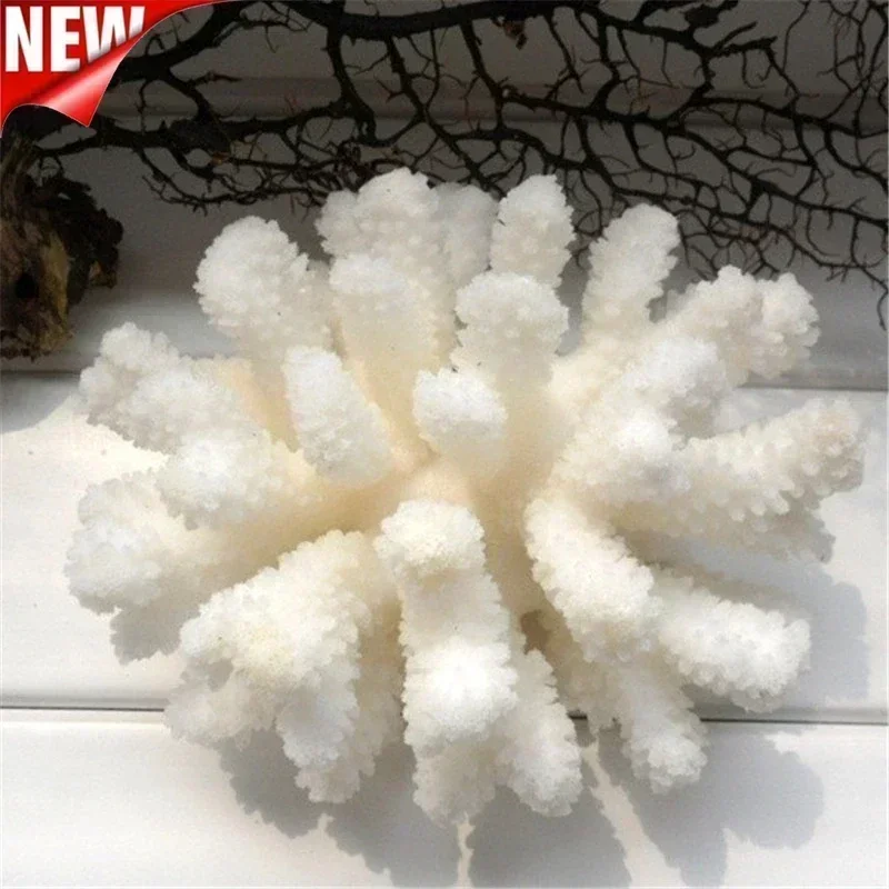 

10 -12 cm 100% Natural Coral Aquarium Decor Fish Tank Decoration Aquarium Landscaping Ornaments Home Decoration