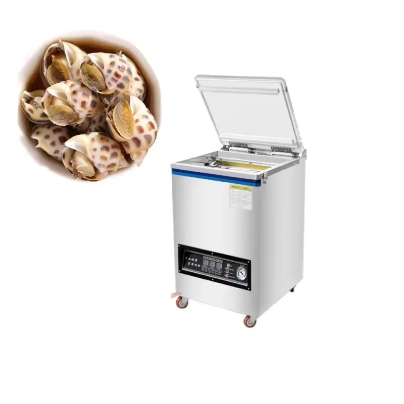 Desktop External Vacuum Packaging Machine for Small Businesses