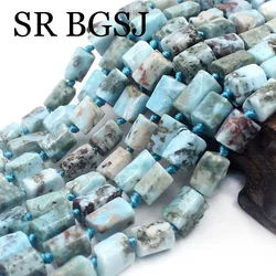8x10mm Natural Larimar Column Tube Faceted Genuine Gems Stone Jewelry Making Beads Strand 15
