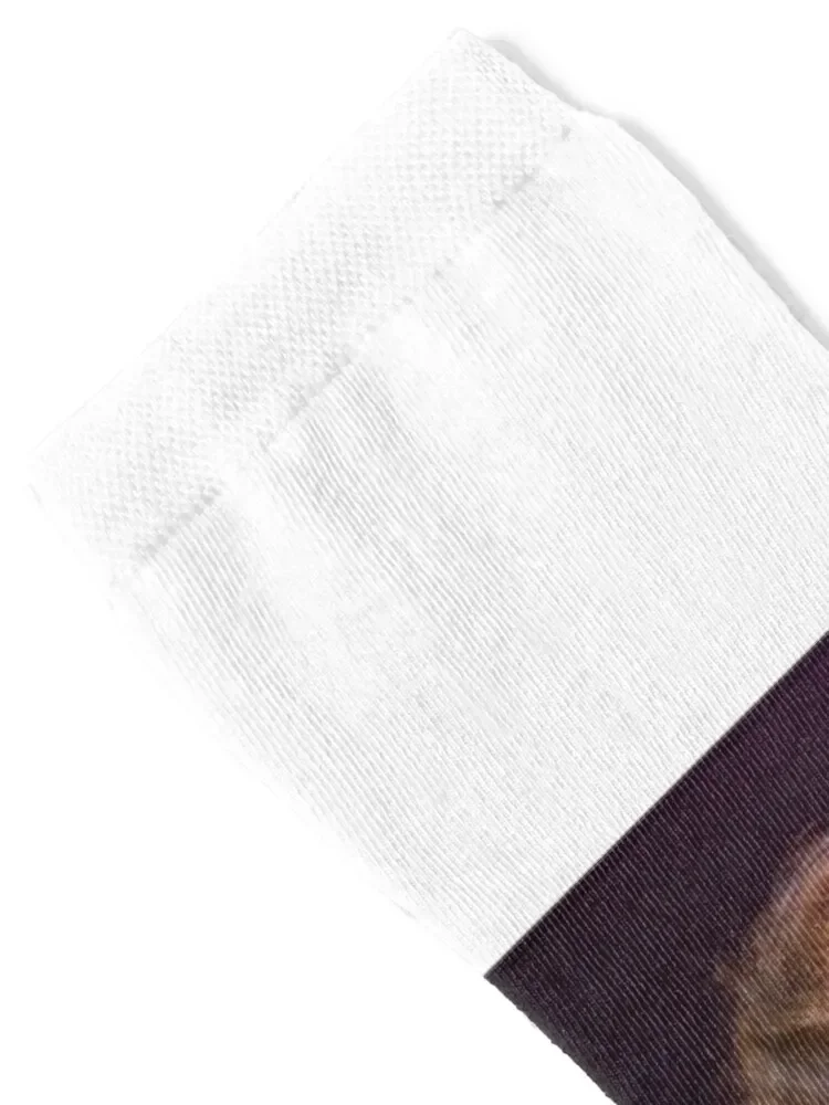 Joe Tempest of Europe Socks christmas gifts summer sports stockings funny gifts Male Socks Women's